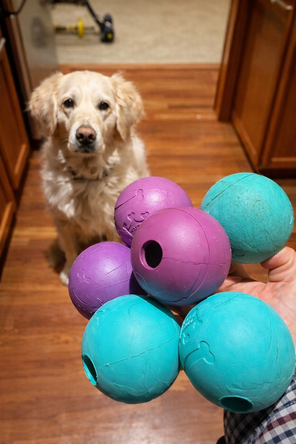 I Love These! Best Bouncy Dog Ball for Active Dogs: Chew King Balls Reviewed